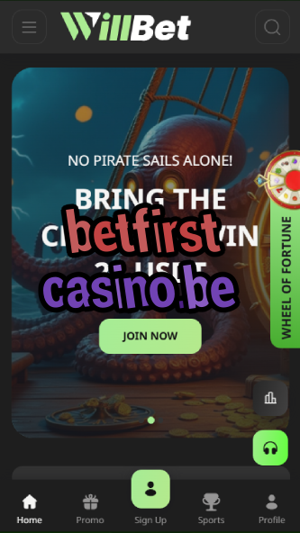 betfirst casino.be-asdasdzhjkds.com